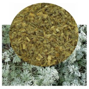 Artemisia absinithium herb with herb inset