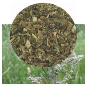 Artemisia vulgaris herb