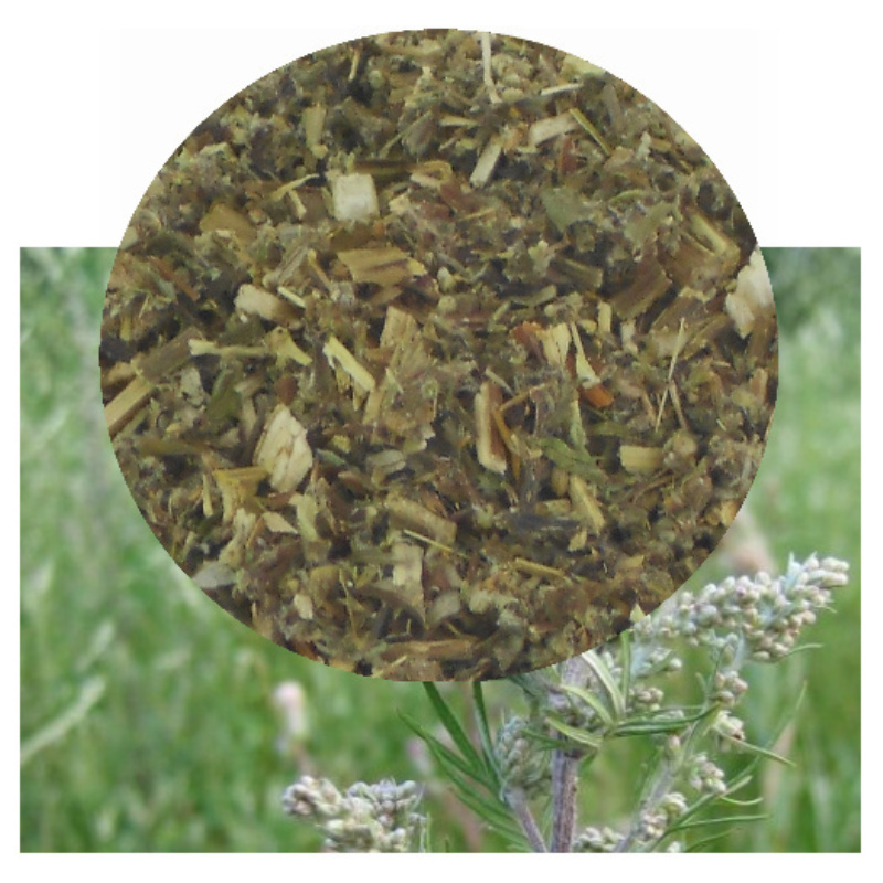 Artemisia vulgaris herb