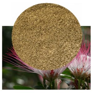 Calliandra angustifolia Bobinsana Dried Bark Powder and plant