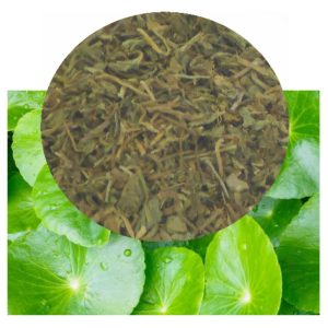 Centella asiatica with herb inset