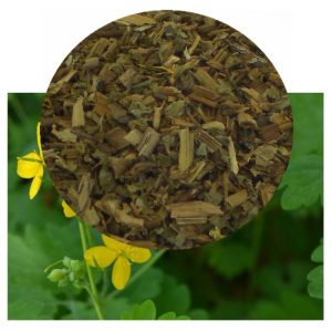 Chelidonium majus (Greater Celandine) Dried Aerials 30g