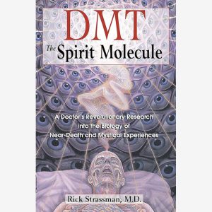 DMT The Spirit Molecule Paperback