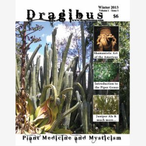 Dragibus Magazine - Volume 1 #3
