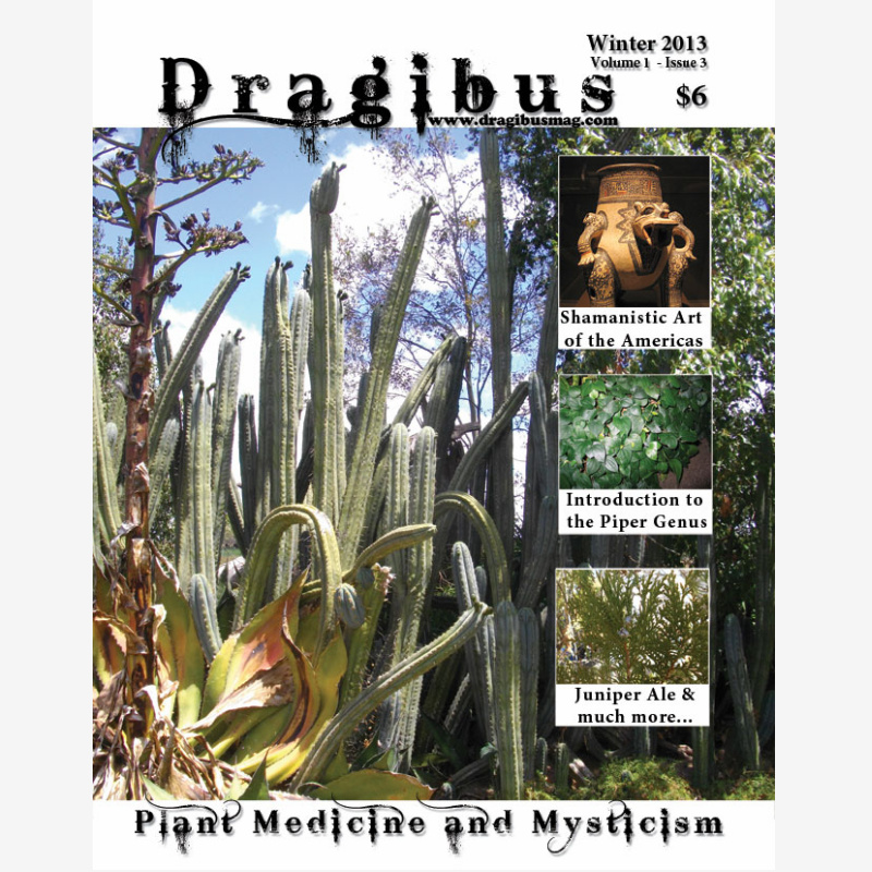 Dragibus Magazine - Volume 1 #3