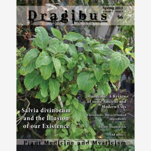 Dragibus Magazine - Volume 1 #4