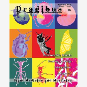 Dragibus Magazine -  Volume 2 #1