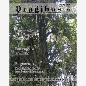 Dragibus Magazine - Volume 2 #3