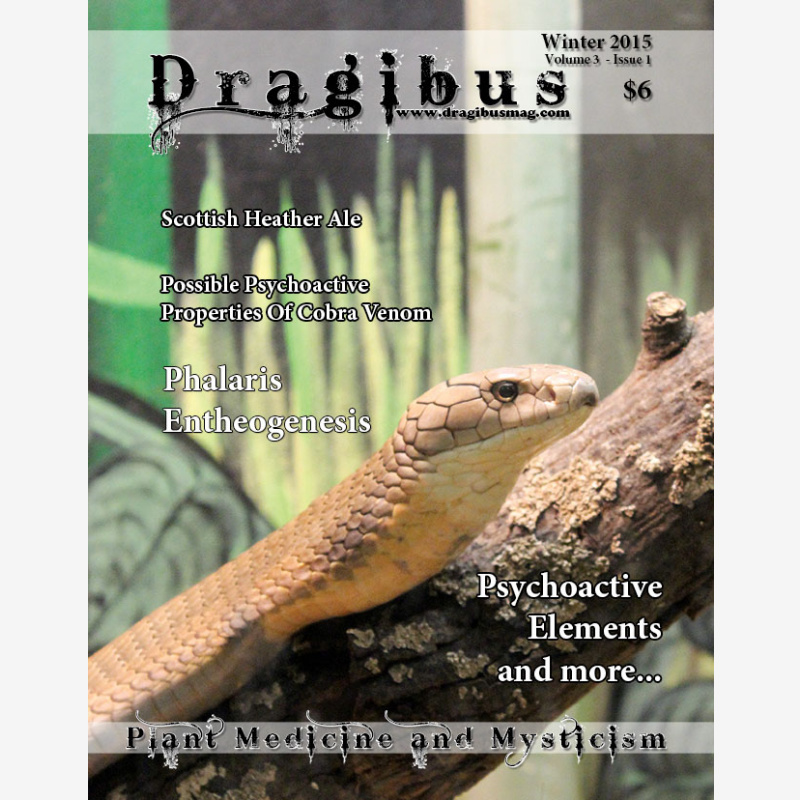Dragibus Magazine - Volume 3 #1