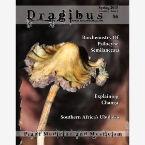 Dragibus Magazine - Volume 3 #2