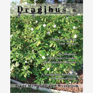 Dragibus Magazine - Volume 3 #3