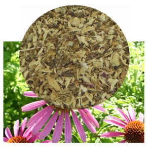 Echinacea flowers with dried herb