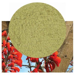 Erythrina mulungu flowers with herb inset