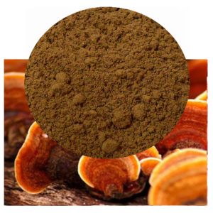 Ganoderma lucidum with reishi powder inset