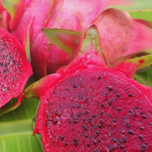 Hylocereus costaricensis (Red-Fleshed Pitaya; Dragonfruit) 40 Seeds