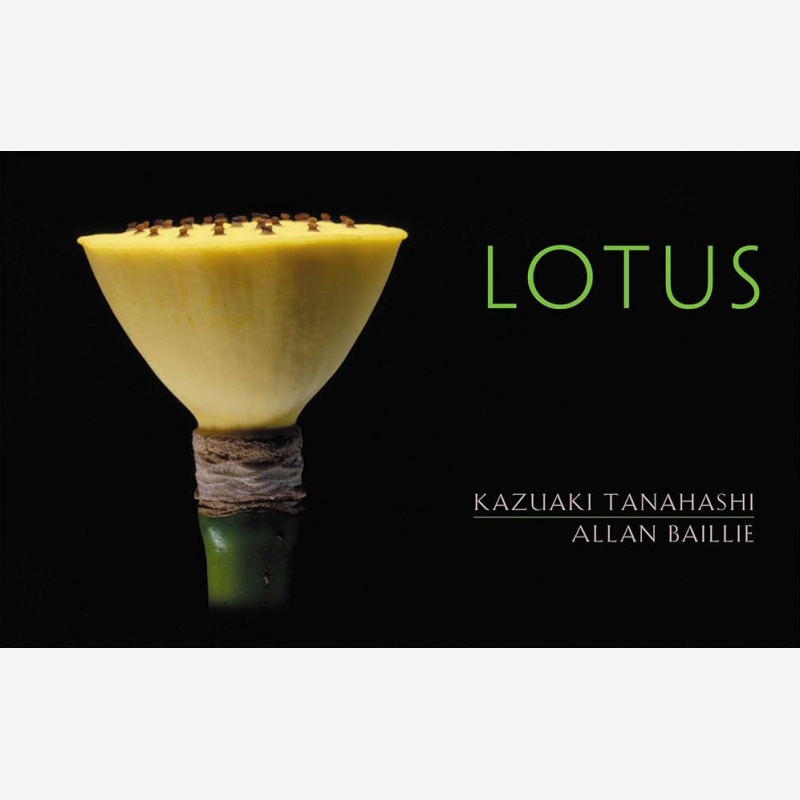 Lotus by Kazuaki Tanahashi & Allan Baillie (Paperback, 2006)