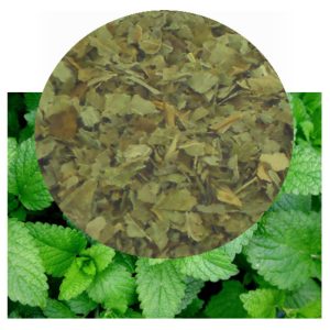 Melissa officinalis leaves and dried herb