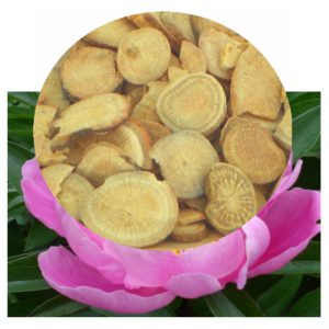 Paeonia lactiflora (White Peony) Dried Root Slices