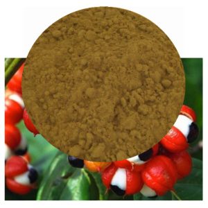Paullinia cupana with guarana powder inset