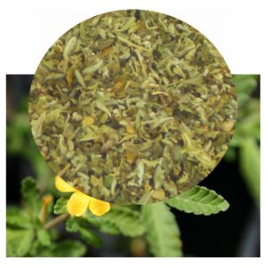 Turnera diffusa plants with herb inset