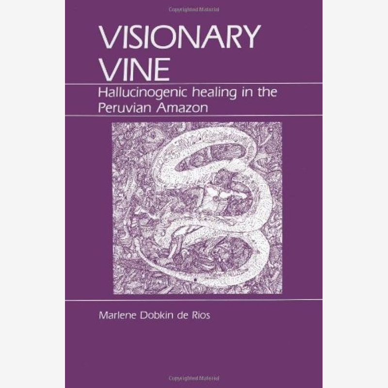 Visionary Vine Paperback