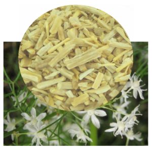 Shatavari flowers and dried root inset