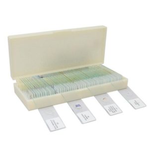 Microscope Slide Storage - 50pc Holder