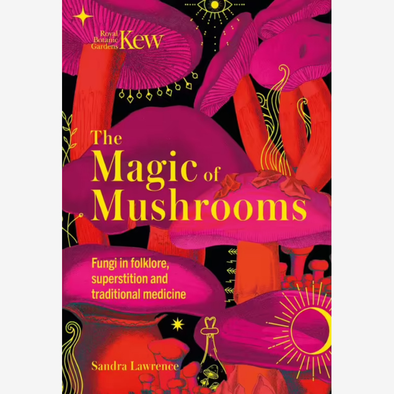 The Magic of Mushrooms paperback