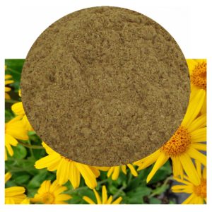 Arnica montana with powder inset