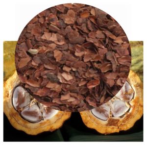 Theobroma cacao husks