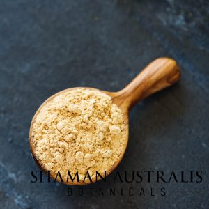 Lion's mane extract powder in wooden spoon
