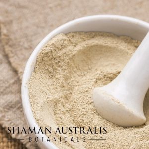 Panax ginseng Extract