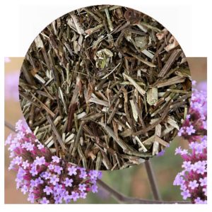 verbena officinalis with herb inset