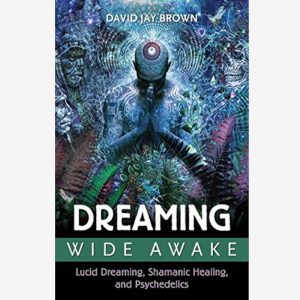Dreaming Wide Awake book