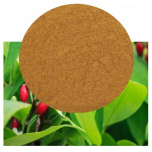 catuaba herb
