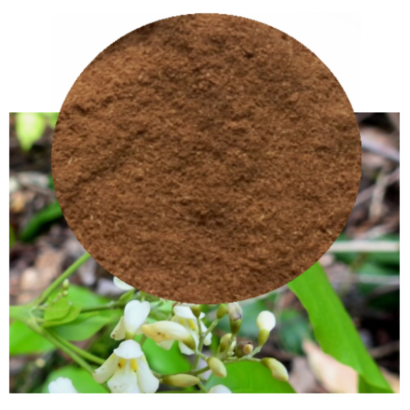 Clavo Huasca Bark Powder For Aphrodisiac Benefits clavo-huasca-bark-powder-for-aphrodisiac-benefits