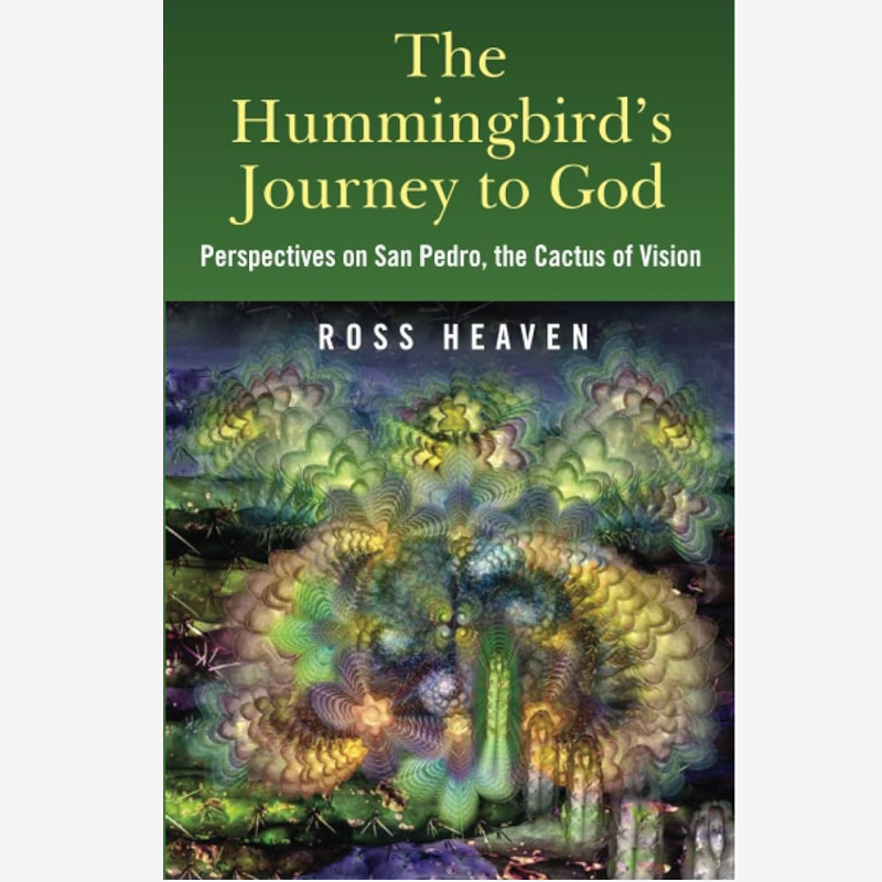 The Hummingbirds Journey to God paperback