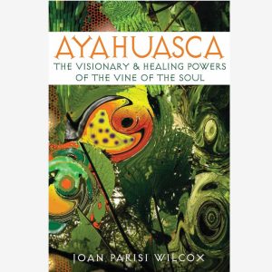 Ayahuasca The Visionary and Healing paperback