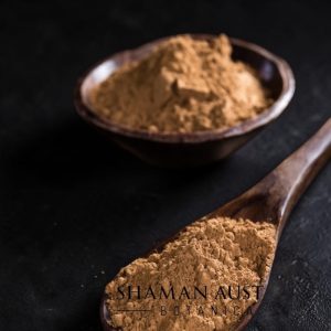 Ginkgo biloba Extract