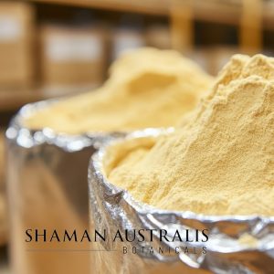Scutellaria baicalensis Extract